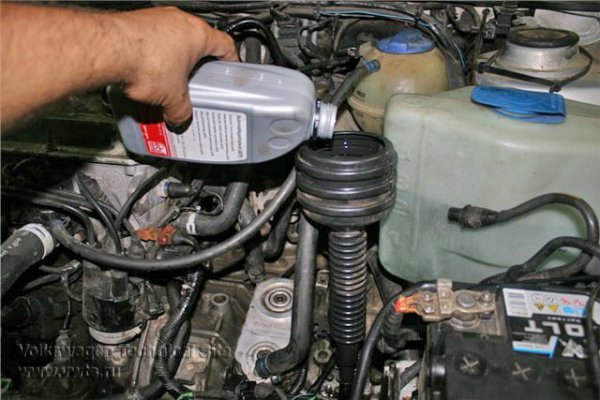 Актуальное зеркало на кракен